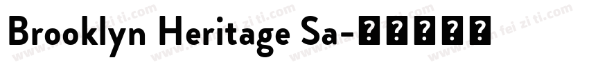 Brooklyn Heritage Sa字体转换
